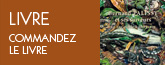 Bernard Palissy